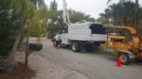 Lopez Tree Service Fort Myers image 3